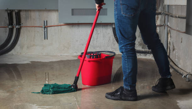  Hallsville, MO Water damage restoration Pros