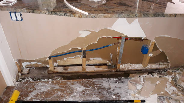 Best Mold removal after water damage  in Hallsville, MO