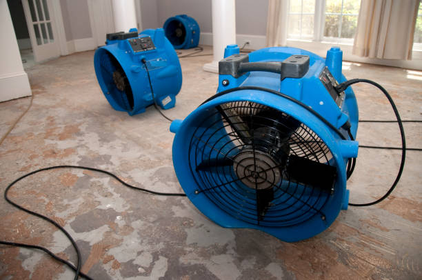 Best Emergency water damage restoration  in Hallsville, MO