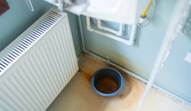 Best Water damage restoration near me  in Hallsville, MO